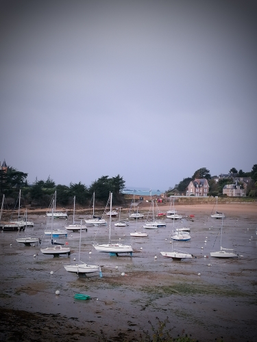 poésie,littérature,lecture,actu,actualité