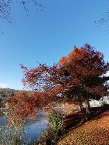 poésie,lecture,littérature,actu,actualité