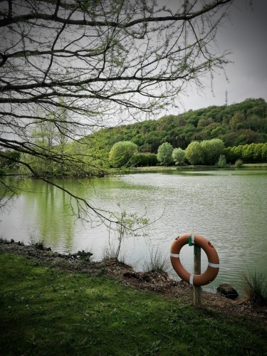 poésie,lecture,littérature,actu,actualité