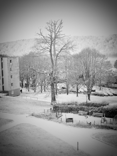 poésie,lecture,littérature,auteurs,actu,actualité