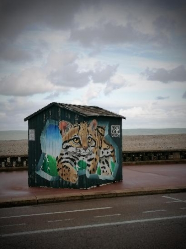 poésie,lecture,littérature,écrivain,auteur,actu,actualité,livres