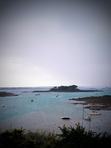 poésie,lecture,littérature,actu,actualité