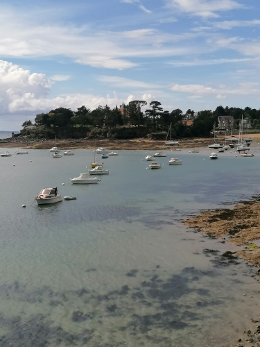 poésie,lecture,littérature,actu,actualité