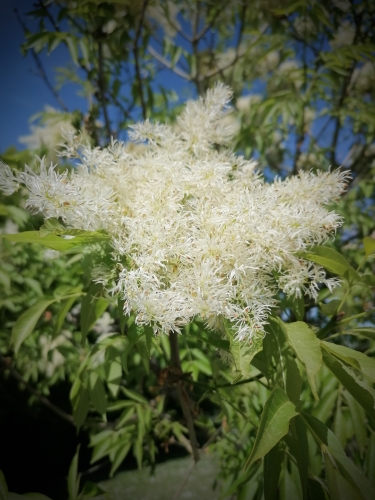 tags,blog,gourmandises,voyages,humeurs,société,politique,histoire,littérature,actu,actualité